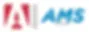 EXE WEB LOGO AMS.jpg