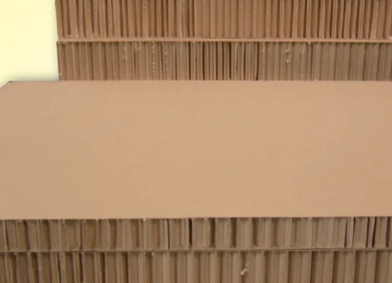 Carton alvéolaire biodégradable